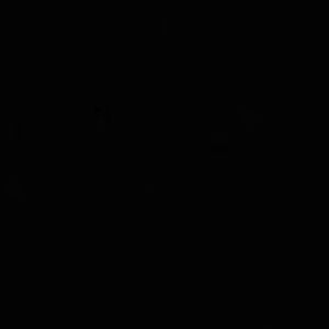 Meet your Posher, Arianna